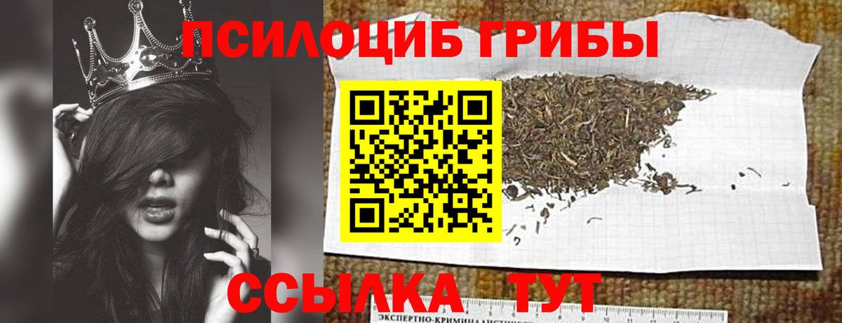 Шелехов  Псилоцибиновые грибы Psilocybine cubensis  Вход с VPN 